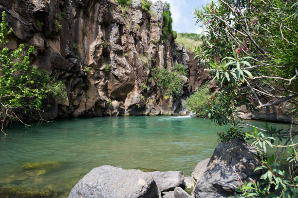 istock Saar Falls at Golan, Northern Israel 1217426176