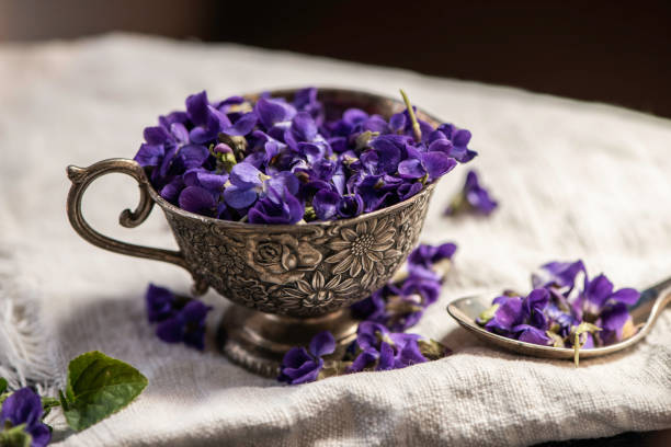 istock Violet violets flowers bloom from a spring forest. Viola odorata styled close up studio shot spring edible flowers in a glass jar used as alternative herbal tea remedy 1217428051