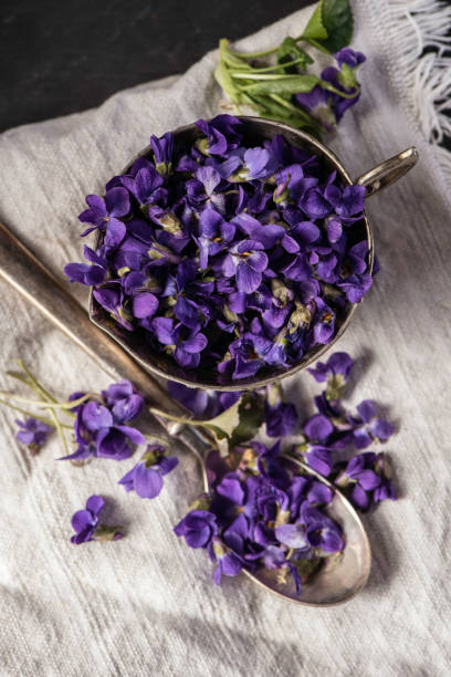 istock Violet violets flowers bloom from a spring forest. Viola odorata styled close up studio shot spring edible flowers in a glass jar used as alternative herbal tea remedy 1217428261