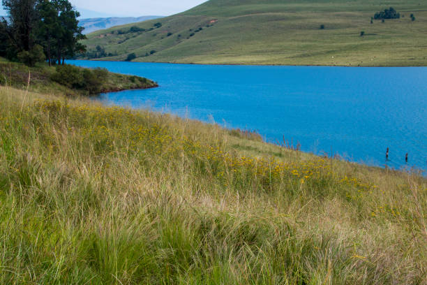 blaues wasser umgeben von gras und bäumen am midmar-staudamm - midmar stock-fotos und bilder