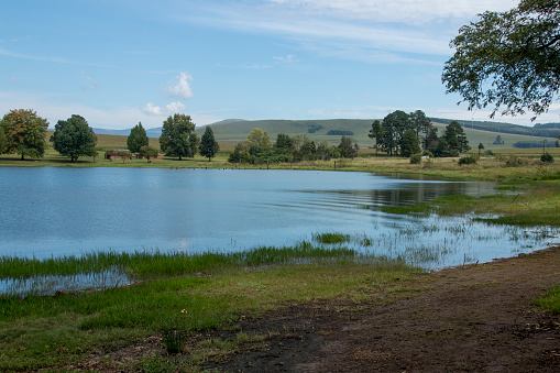 Blue water surrounded by grass and trees at midmar dam