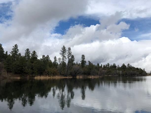Lake With Parallel Line of Trees With Cloud Formation