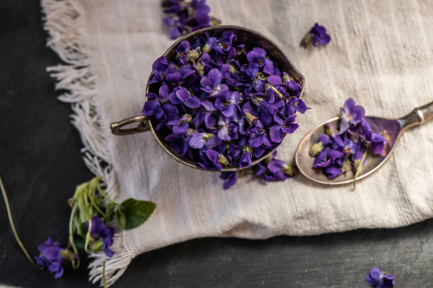 istock Violet violets flowers bloom from a spring forest. Viola odorata styled close up studio shot spring edible flowers in a glass jar used as alternative herbal tea remedy 1217431097