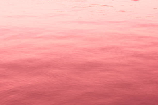 Pink Background, Pink Color, Backgrounds, Color Gradient, Colored Background