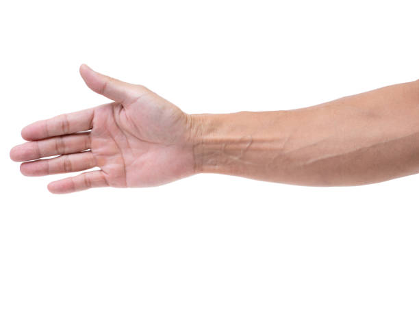 istock Asian man hand open on white background 1217432902