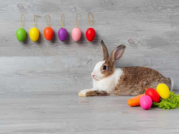 istock Rabbit and the Easter eggs on wood background with copy space. 1217433561