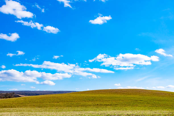 istock Green meadow and blue sky 1217435069