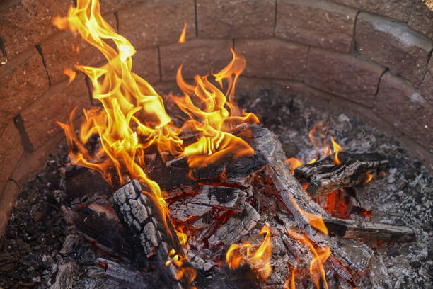 istock Small campfire with flames, smoldering wood. 1217435612