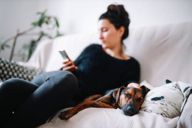istock Woman relaxing on the couch with her dog 1217436660