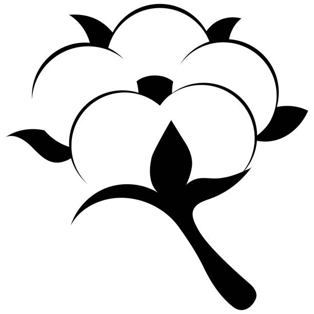 черная хлопчатобумажная цветочная икона изолирована на белом фоне. - cotton flower white background white stock illustrations
