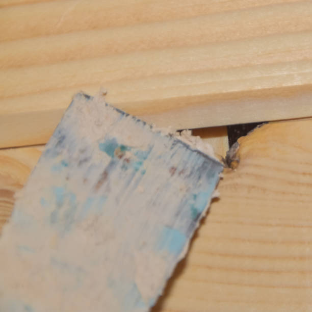 istock worker puts putty on a hole in a wooden wall 1217438307