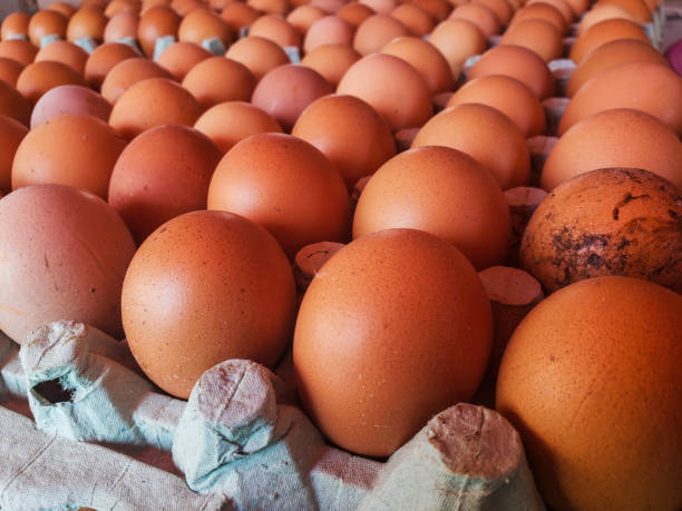 istock view of group of chicken eggs for sell 1217439132