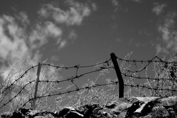 istock Barbed wire. Barbed wire on fence 1217440240