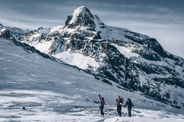 istock Backcountry skiers ascend mountain 1217440247