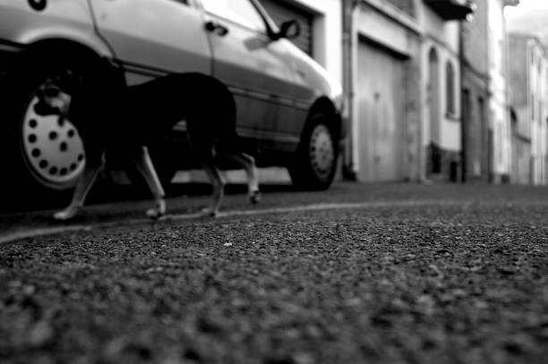 Low angle view on street surface. Sardinia, Italy.