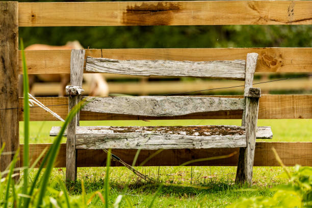 An Old Bench Rests Beside a Fence in the Green Countryside. There is a Horse int he Paddock Behind