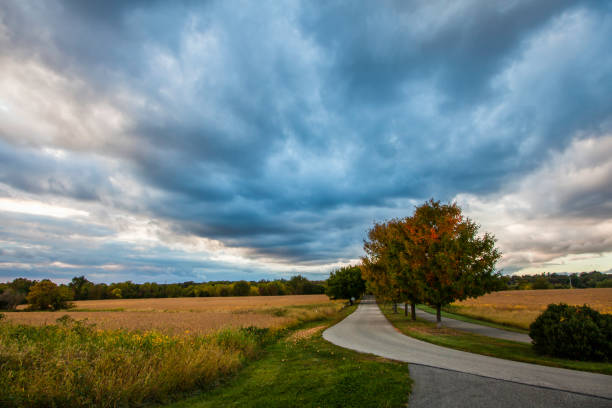 Landscape of the walking path at Norristown Farm Park in East Norriton , Pennsylvania showing the corn fields and tree lined path.