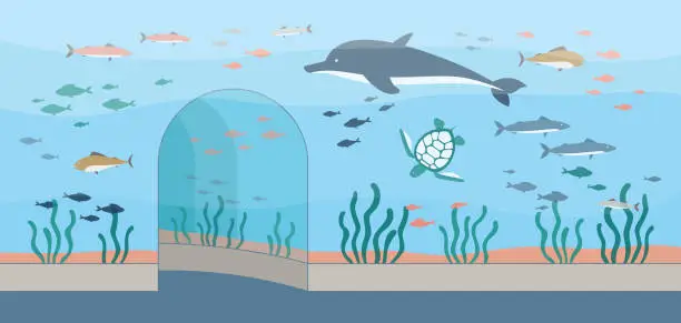 Vector illustration of Oceanarium or aquarium background with fishes and plants vector illustration.