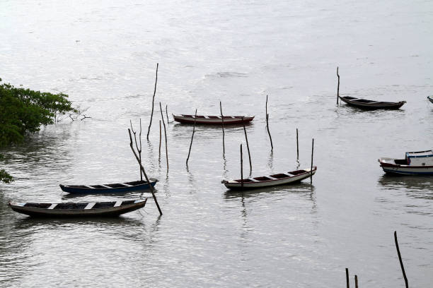 istock fishing boats ancored 1217445981