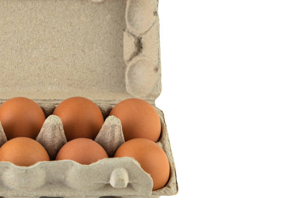istock One dozen chicken eggs in a cardboard container on a white background 1217446189