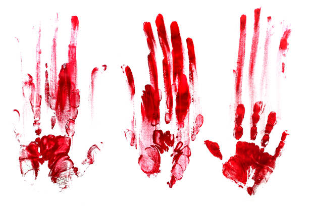 bloody handprints, white background. red. - blood imagens e fotografias de stock