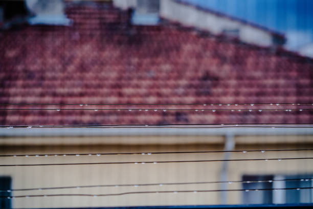 Drops of rain on the clothes line.