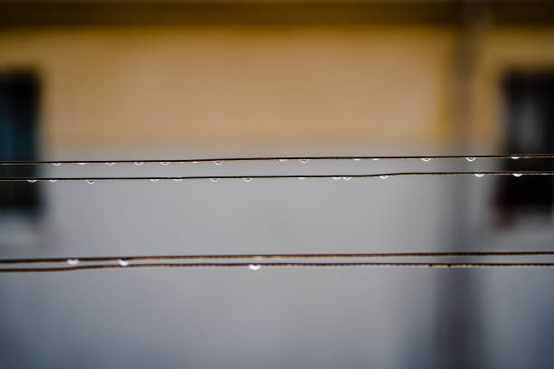 Drops of rain on the clothes line.