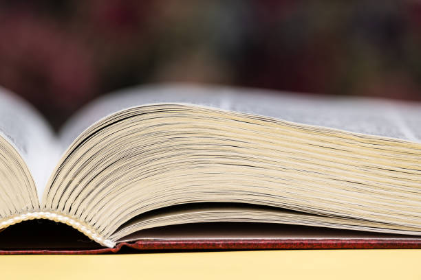 istock open big book lies on the table 1217449467