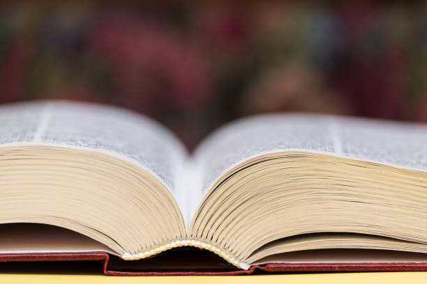 istock open big book lies on the table 1217449487