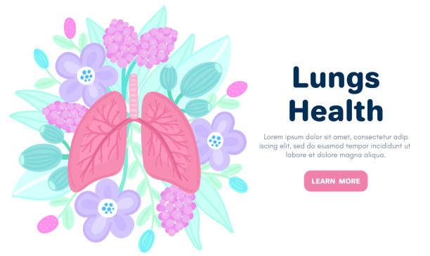 istock Vector healthy lungs on flowers. Background for label, advertisement of pulmonary medicine, landing or banner 1217450932