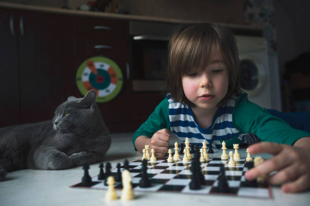 istock Little boy playing chess. Cat next to him. 1217450944