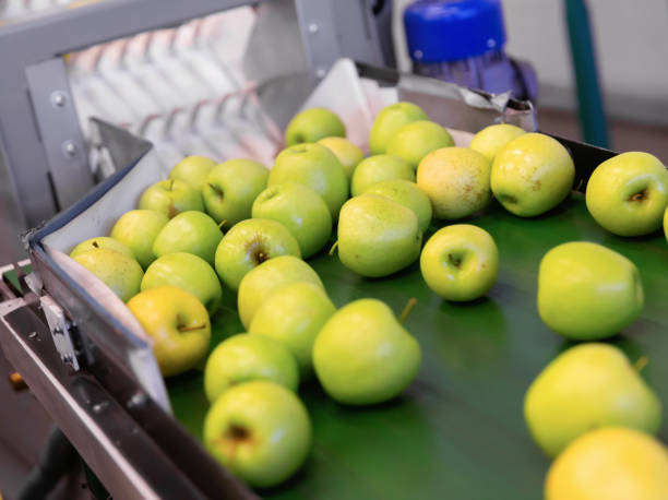 istock Fresh apples running on rolling conveyor of production line 1217451777