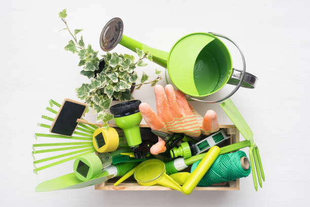 istock Gardening equipment. 1217452069