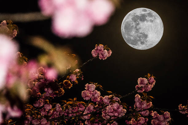 istock The night of super moon 1217453811