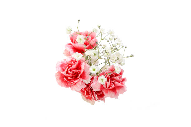 Green chrysanthemum flowers in bouquet on white background, close up, copy space, place for text.