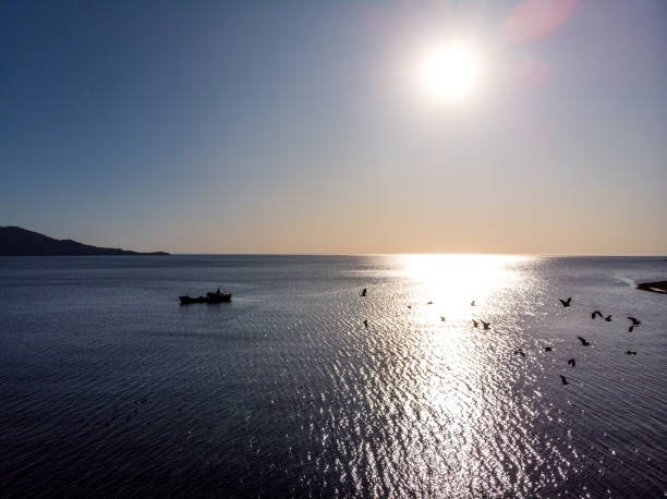 Aerial view of fishing boat and birds at sunset in the Chilean patagonia near to Chaiten, southern Chile
