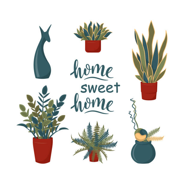 Home sweet home lettering inscription with set of plants and decorative elements Home sweet home lettering inscription with set of plants and decorative elements. Interior potted plants, trendy home decor. Vector illustration for postcard, poster, banner. Stay home concept spider plant animal stock illustrations