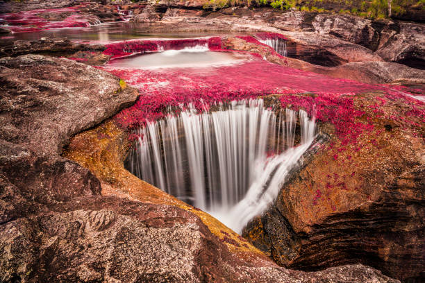 crystal river - waterfall multi colored landscape beauty in nature - fotografias e filmes do acervo
