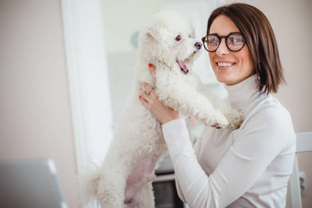 istock Young woman working from home and playing with her dog 1217464160