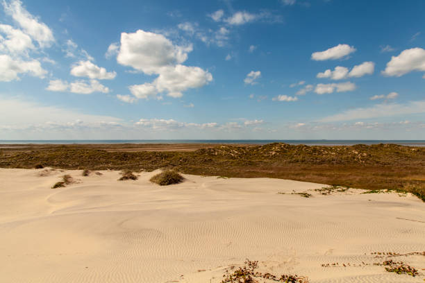 istock South Padre Island Sand Dunes 1217466749