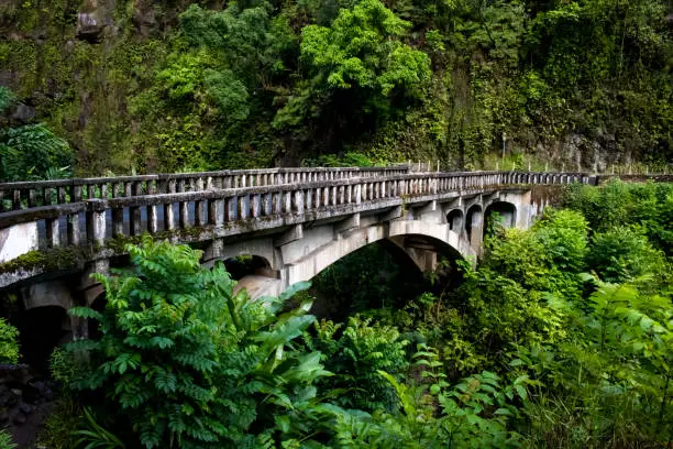 Old bridge in lush jungle green foliage over creek.