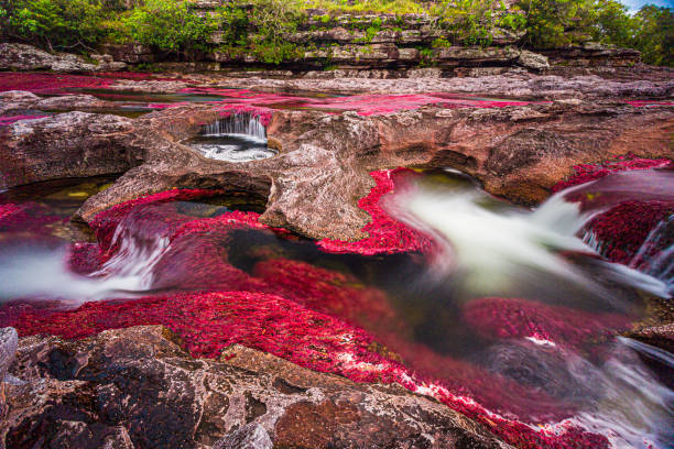 crystal river - beauty in nature natural phenomenon waterfall falling water - fotografias e filmes do acervo
