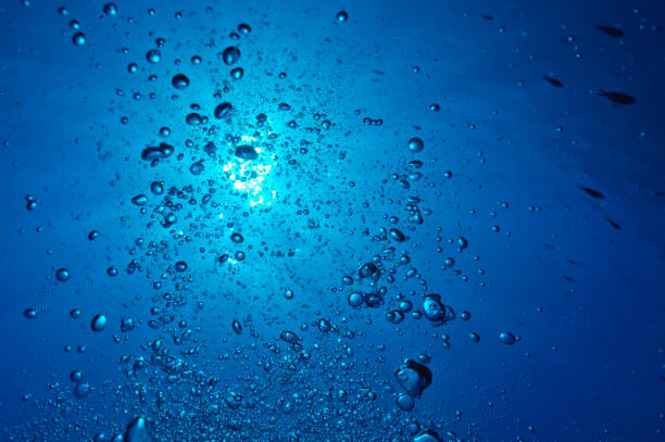 istock the bubbles of a diver 1217472565