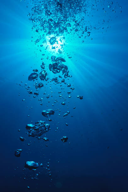 istock the bubbles of a diver 1217472569