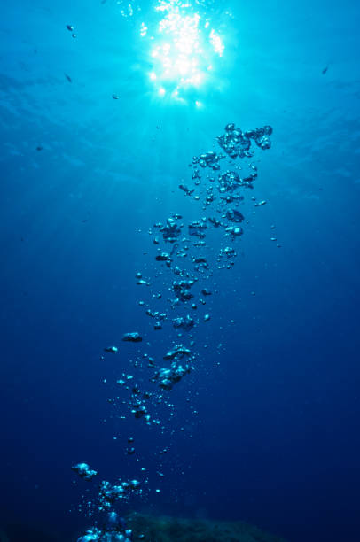 istock the bubbles of a diver 1217472597