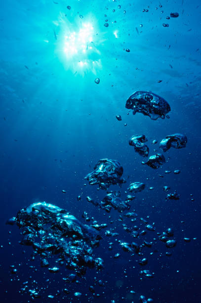 istock the bubbles of a diver 1217472600
