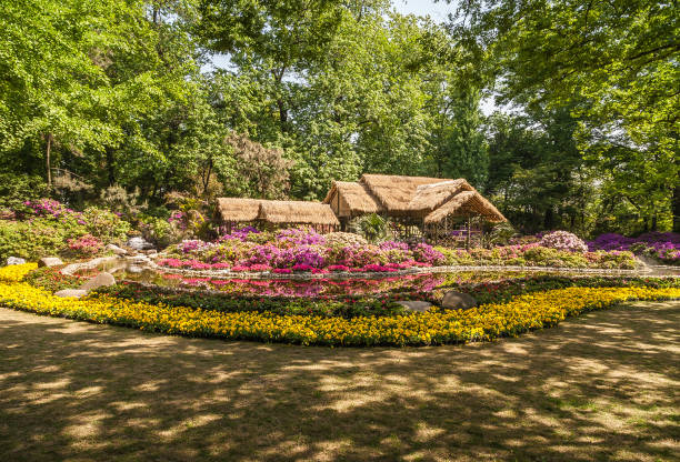 Straw roof barn over flowers at Humble Administrators garden, Suzhou, China. Suzhou China - May 3, 2010: Humble Administrators Garden. Long shot of light brown straw roof structure behind pink, yellow and white flower beds and pond with green foliage wall in back. lake tai stock pictures, royalty-free photos & images