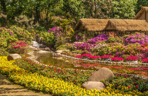 Straw roof barn behind flowers at Humble Administrators garden, Suzhou, China. Suzhou China - May 3, 2010: Humble Administrators Garden. Light brown straw roof structure behind pink, yellow and white flower beds and pond with green foliage wall in back. lake tai stock pictures, royalty-free photos & images