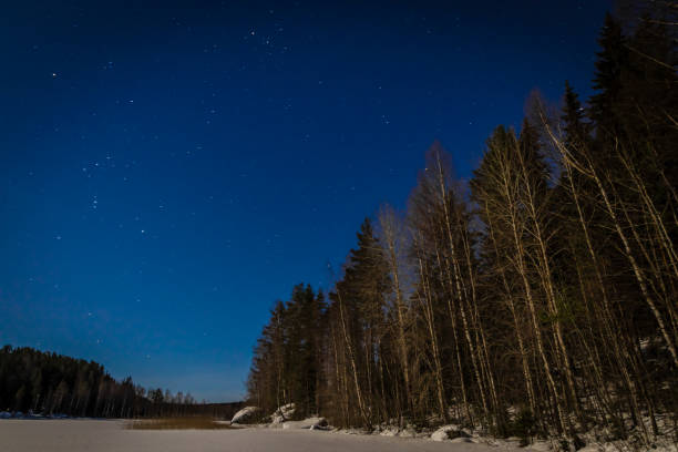istock Frozen lake in the starry night 1217481564