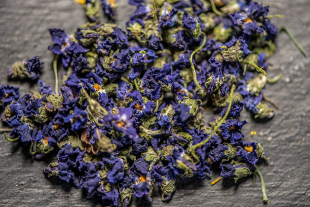 紫色のビオラ・ヴィオレッタ・オドレーターの満たされたフレームクローズアップドライドライ花の花の頭は、混合物を結ぶ - lavender dried plant lavender coloured bunch ストックフォトと画像